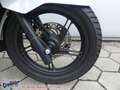 Honda PCX 125 LED SCHEINWERFER Wit - thumbnail 6