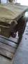 Jeep Willys Vert - thumbnail 2