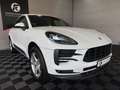 Porsche Macan 2.0L/CARPLAY/LED/RFK/ELEKTR. SITZE Blanc - thumbnail 4