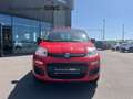 Fiat Panda Tagfahrlicht Servo 86 PS Benzin/Erdgas Rot - thumbnail 8