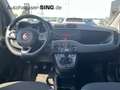 Fiat Panda Tagfahrlicht Servo 86 PS Benzin/Erdgas Rot - thumbnail 16