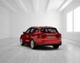 Ford Focus 1.5 EcoBlue TDCi Active *LED*ACC*AHK*HuD* Rouge - thumbnail 23