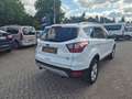 Ford Kuga Titanium Weiß - thumbnail 5