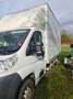 Peugeot Boxer Boxer HDi 330 L1H1 Blanc - thumbnail 3