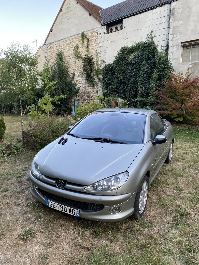 Peugeot 206 CC 1.6 HDi 16v FAP Roland Garros - 2