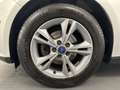 Ford Focus Turnier Sync Edition Scheckheft AHK Silber - thumbnail 6