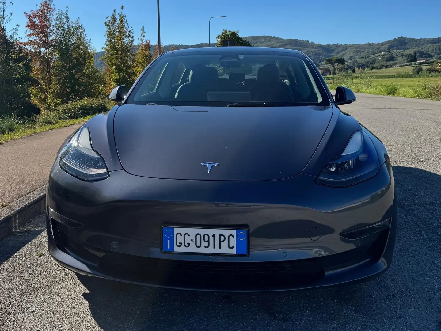 Tesla Model 3 Model 3 Long Range Dual Motor awd Grigio - 2