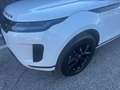 Land Rover Range Rover Evoque P270e PHEV S AWD Aut. Weiß - thumbnail 6
