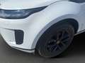 Land Rover Range Rover Evoque P270e PHEV S AWD Aut. Weiß - thumbnail 6