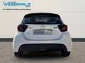 Mazda 2 Exclusive-Line-1.HAND-KAMERA-SITZHEIZUNG-ALUFELGEN Weiß - thumbnail 15