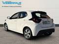 Mazda 2 Exclusive-Line-1.HAND-KAMERA-SITZHEIZUNG-ALUFELGEN Weiß - thumbnail 12