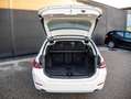 BMW 318 d Tour. UPE 55430EUR Kamera HiFi DAB LED 1VB Blanc - thumbnail 19