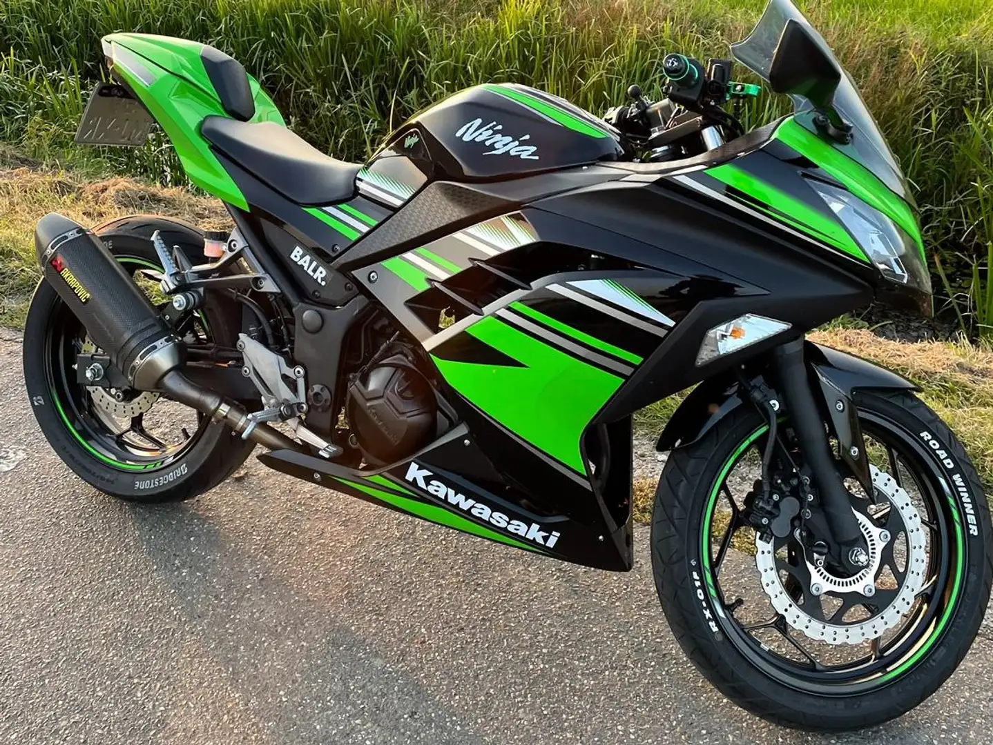 Kawasaki Ninja 300 KRT Performance Edition Groen - 2
