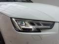 Audi A4 40 TDI sport*360*MATRIX*B&O*MASSAGE*ACC*TOTW*AMBI* Weiß - thumbnail 13