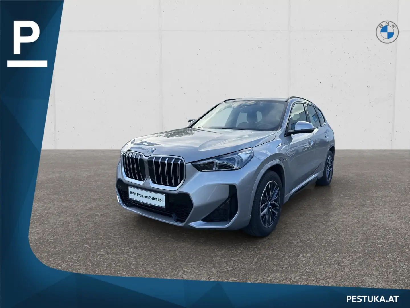 BMW X1 X1 xDrive25e Argent - 1