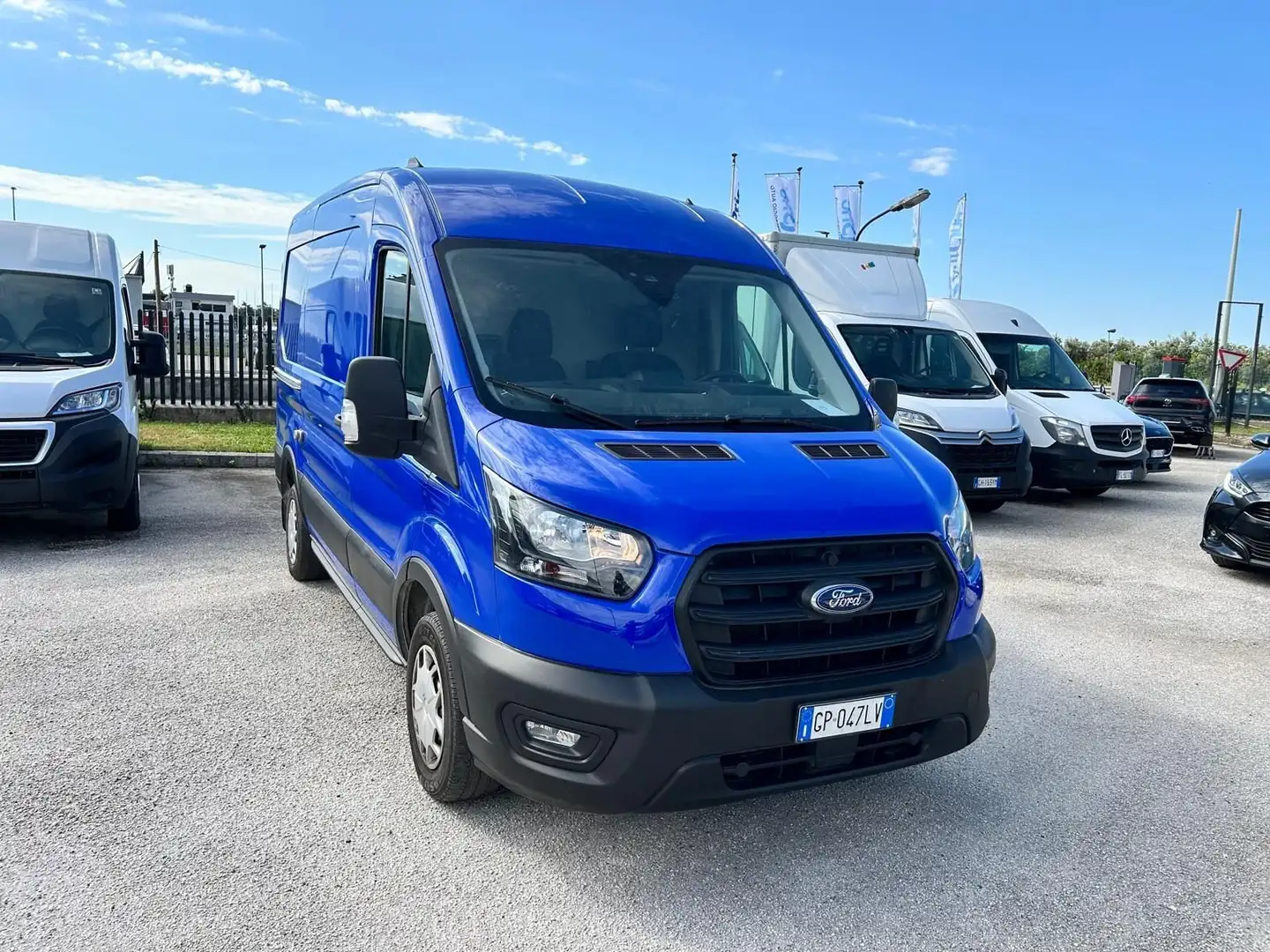Ford Transit 290 2.0 Tdci MHEV 130Cv Trend L2H2 E6.2 Blu/Azzurro - 1