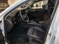Audi A4 S-line 40 TDI Matrix virtual cockpit Weiß - thumbnail 16