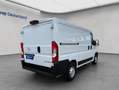 Opel Movano BlueHDi Kasten L1H1 Klima VA S&S Blanc - thumbnail 5