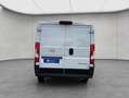 Opel Movano BlueHDi Kasten L1H1 Klima VA S&S Blanc - thumbnail 3