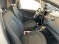 Hyundai i10 i10 II 2017 1.0 GPL Tech Bianco - thumbnail 12