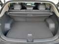 Kia EV3 FWD 81,4kWh Long Range Earth plus Weiß - thumbnail 16