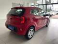 Kia Picanto Picanto 1.0 mpi City 4pti my20 Rood - thumbnail 6