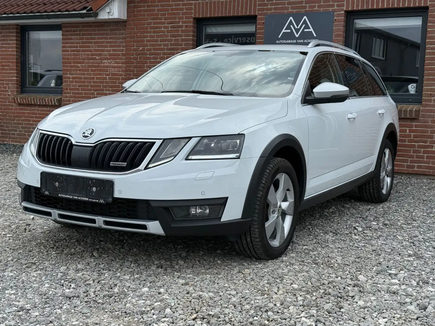 Skoda Octavia 2.0 TDI DSG Combi Scout 4x4 LED Canton Weiß - 1