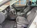 Skoda Octavia 2.0 TDI DSG Combi Scout 4x4 LED Canton Weiß - thumbnail 9