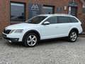 Skoda Octavia 2.0 TDI DSG Combi Scout 4x4 LED Canton Weiß - thumbnail 2