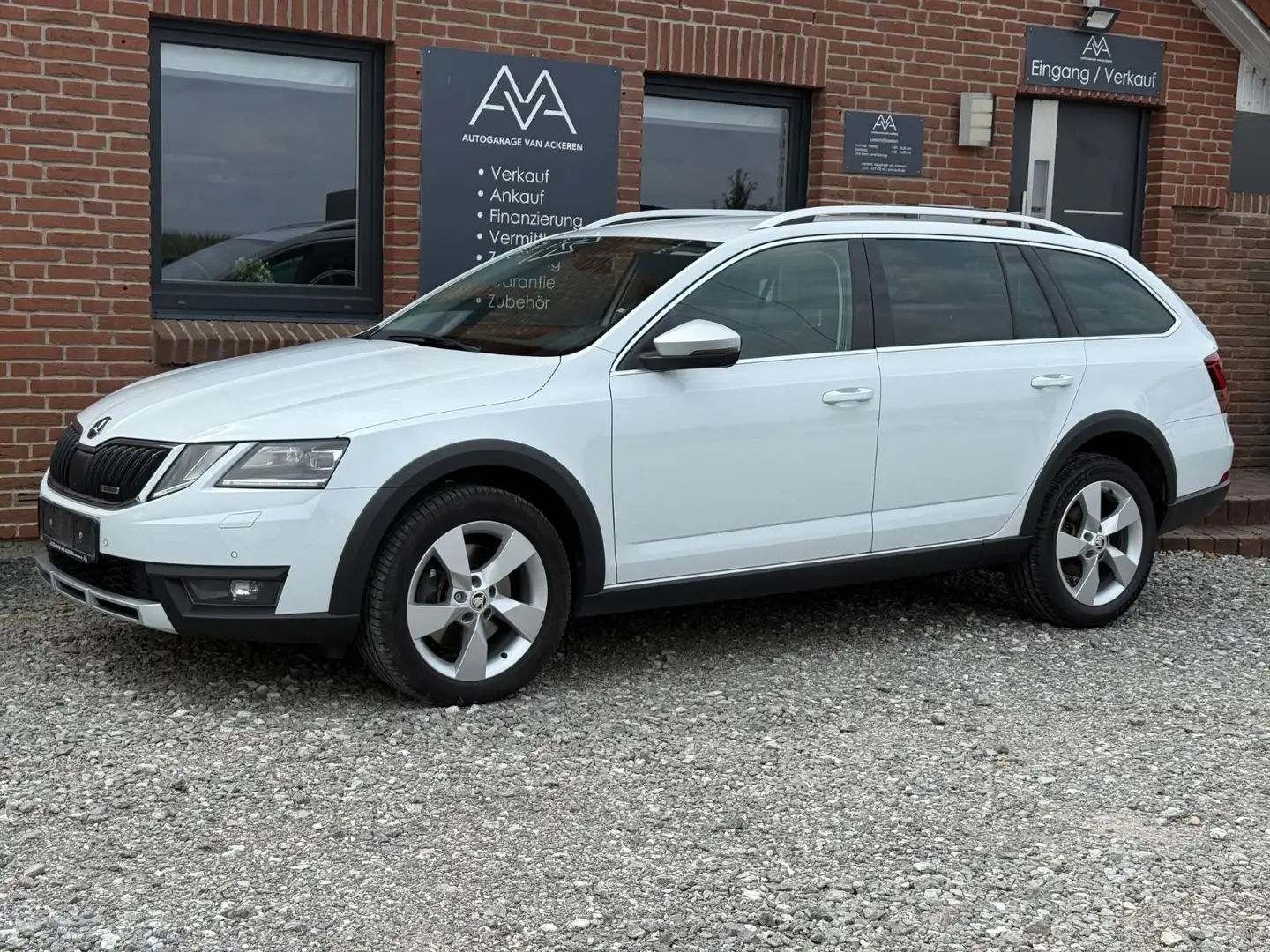 Skoda Octavia 2.0 TDI DSG Combi Scout 4x4 LED Canton Weiß - 2