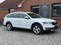 Skoda Octavia 2.0 TDI DSG Combi Scout 4x4 LED Canton Weiß - thumbnail 4