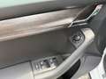 Skoda Octavia 2.0 TDI DSG Combi Scout 4x4 LED Canton Weiß - thumbnail 14