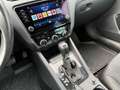 Skoda Octavia 2.0 TDI DSG Combi Scout 4x4 LED Canton Weiß - thumbnail 13