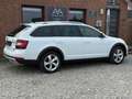 Skoda Octavia 2.0 TDI DSG Combi Scout 4x4 LED Canton Weiß - thumbnail 5