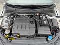 Skoda Octavia 2.0 TDI DSG Combi Scout 4x4 LED Canton Weiß - thumbnail 19