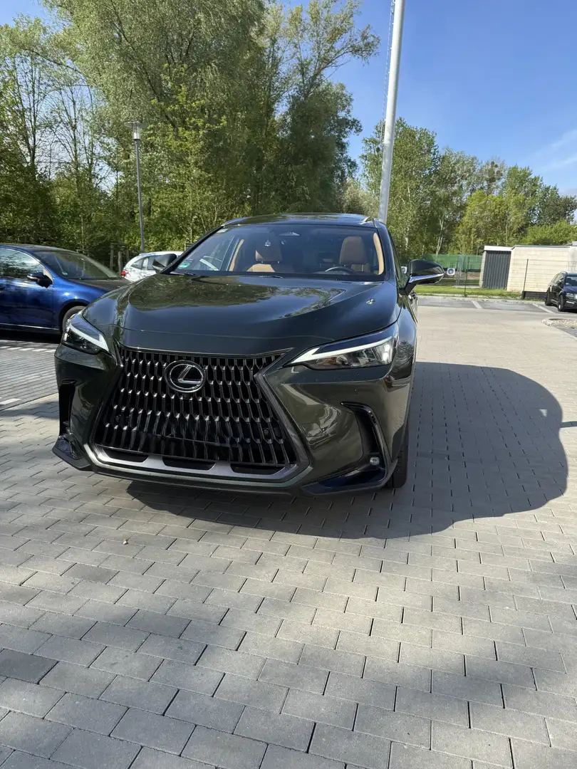 Lexus NX 350h Executive L - 1