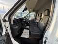 Ford Transit 350 L3H2,*MwSt.*TOP Zustand*Sitzheizung*Kamera Weiß - thumbnail 7