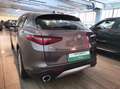 Alfa Romeo Stelvio - Stelvio 2.2 Turbodiesel 190 CV AT8 Q4 Business Grau - thumbnail 5