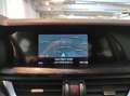Alfa Romeo Stelvio - Stelvio 2.2 Turbodiesel 190 CV AT8 Q4 Business Grau - thumbnail 11