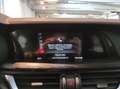 Alfa Romeo Stelvio - Stelvio 2.2 Turbodiesel 190 CV AT8 Q4 Business Grau - thumbnail 24