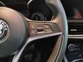 Alfa Romeo Stelvio - Stelvio 2.2 Turbodiesel 190 CV AT8 Q4 Business Grau - thumbnail 21