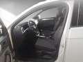 Volkswagen T-Roc Move Matrix ACC PDC Climatronic AID SH LM Grau - thumbnail 12