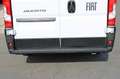 Fiat Ducato Ducato Maxi L4H2 140 10Zoll Navi Abstandtepomat... Weiß - thumbnail 10