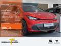 CUPRA Born 360 ALLWETTER LM19 PRIVACY SITZHZ Rot - thumbnail 1