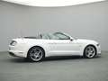 Ford Mustang GT Cabrio V8 450PS Aut./MagneRide/ACC Weiß - thumbnail 45