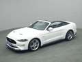 Ford Mustang GT Cabrio V8 450PS Aut./MagneRide/ACC Weiß - thumbnail 16