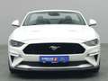 Ford Mustang GT Cabrio V8 450PS Aut./MagneRide/ACC Weiß - thumbnail 6