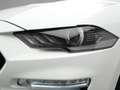 Ford Mustang GT Cabrio V8 450PS Aut./MagneRide/ACC Weiß - thumbnail 29