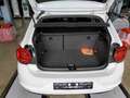 Volkswagen Polo 1.0 TSI DSG HIGHLINE *ACC *NAVI *SHZ *DAB+ *CLIMA Weiß - thumbnail 11