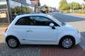 Fiat 500 |Klimaauto.|Panorama|TÜV NEU - thumbnail 7